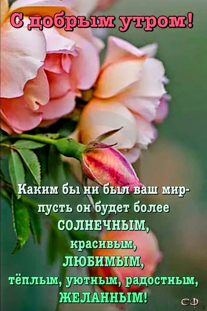 _ аким бы ни был 13аш мир пусть онбудет более СОЛНЕЧНЫМ красивЁ лювищ ь тёпльш утихш радостным жылднныш