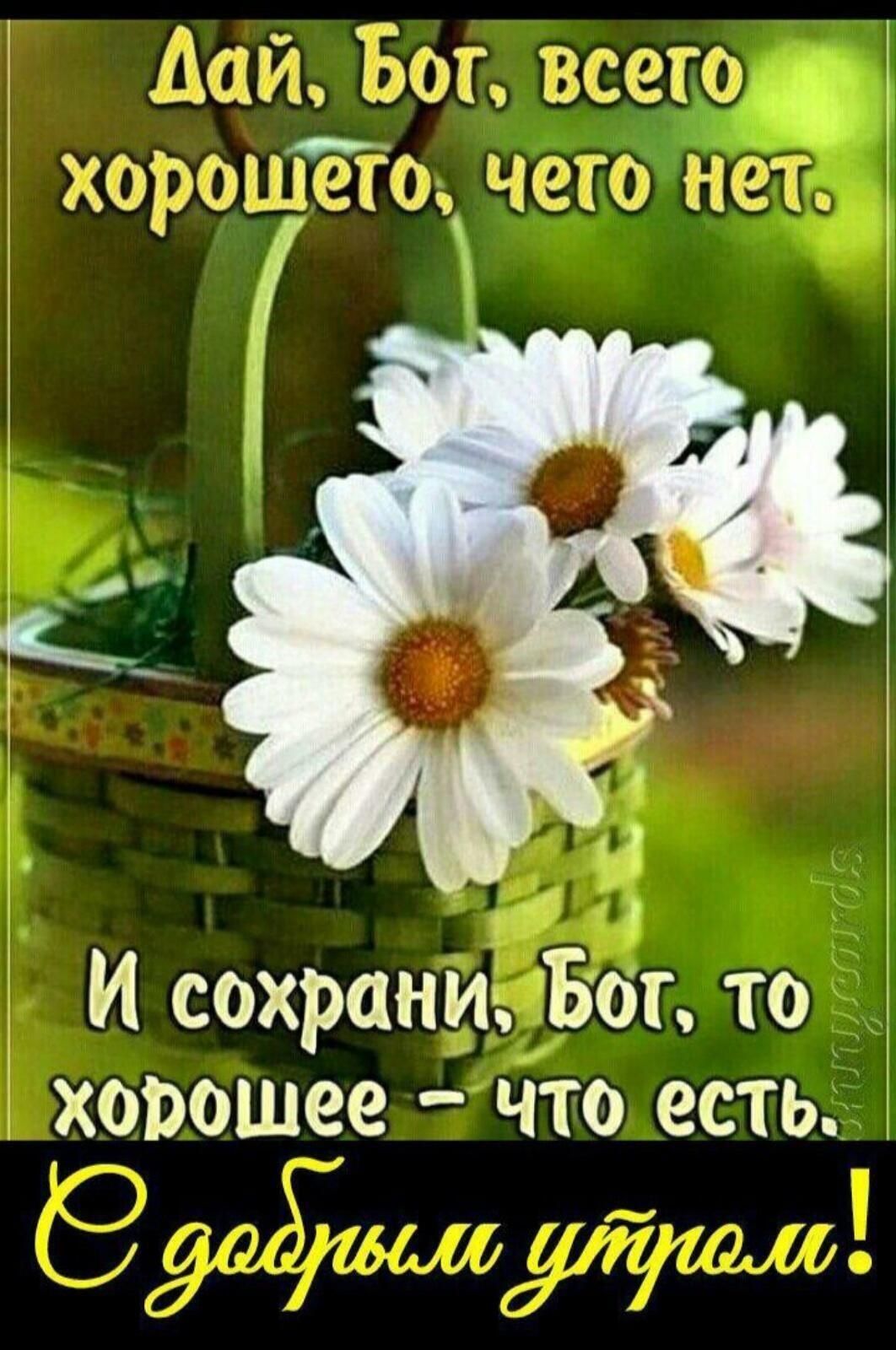 Банд же щтштт чаю ввс И сохраНИь Бот то хорошее что есть у зад _ 34 1 и ц Акі щэ с А _х
