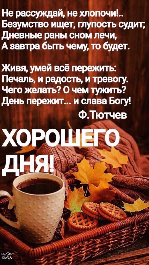 Не раосюкддй не хлопочи Безумство ищет глупость судит дневные раны оном печи Аеавтрабьпъчемудобудет Живя умей всё пережить Печаль и радость и тревогу Чего желать 0 чем тужить день пережит и слава Богу ФТпотчев