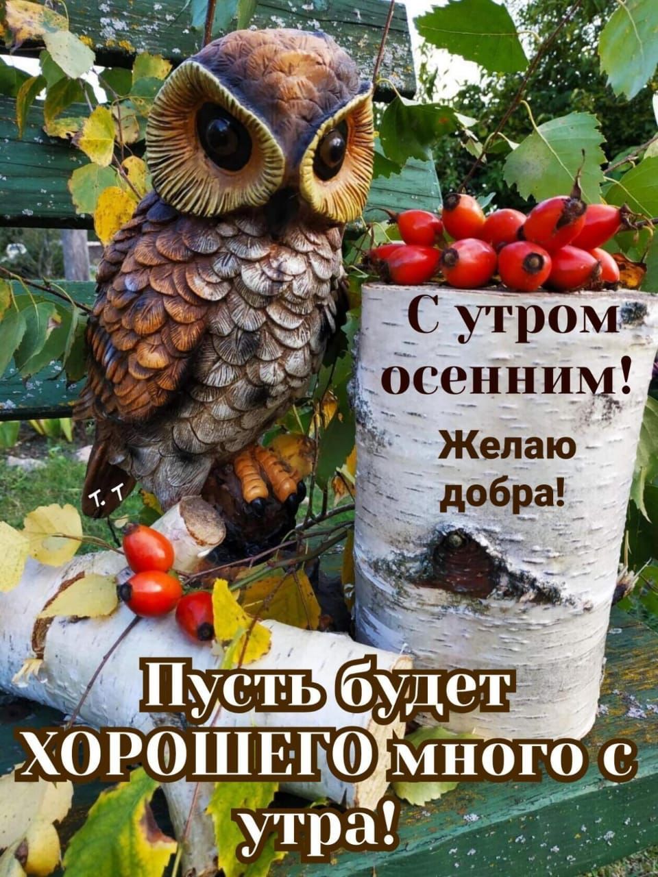 _ Сугромт осенним