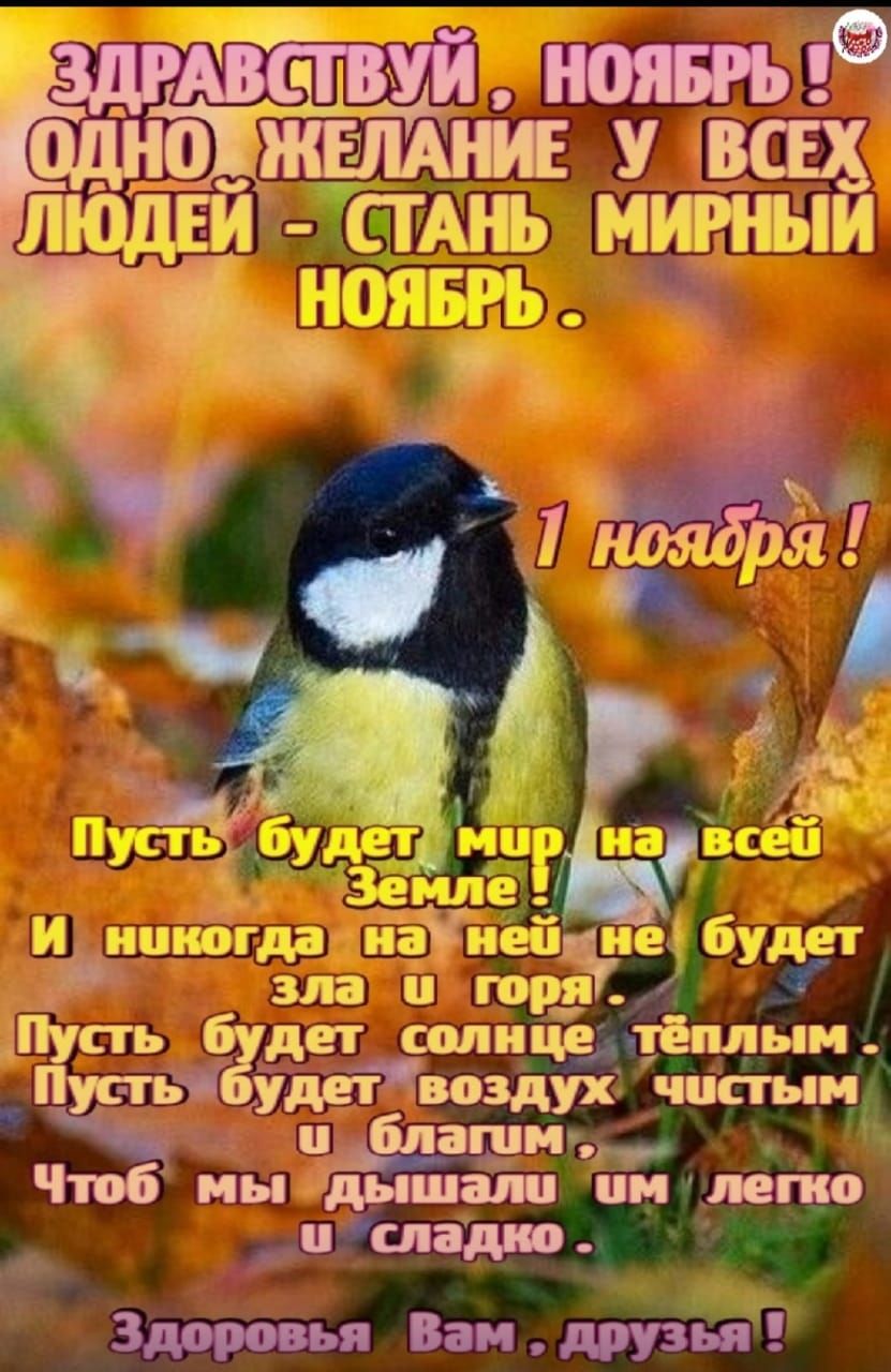Шусть дет солнце теплым удевозду чип ым