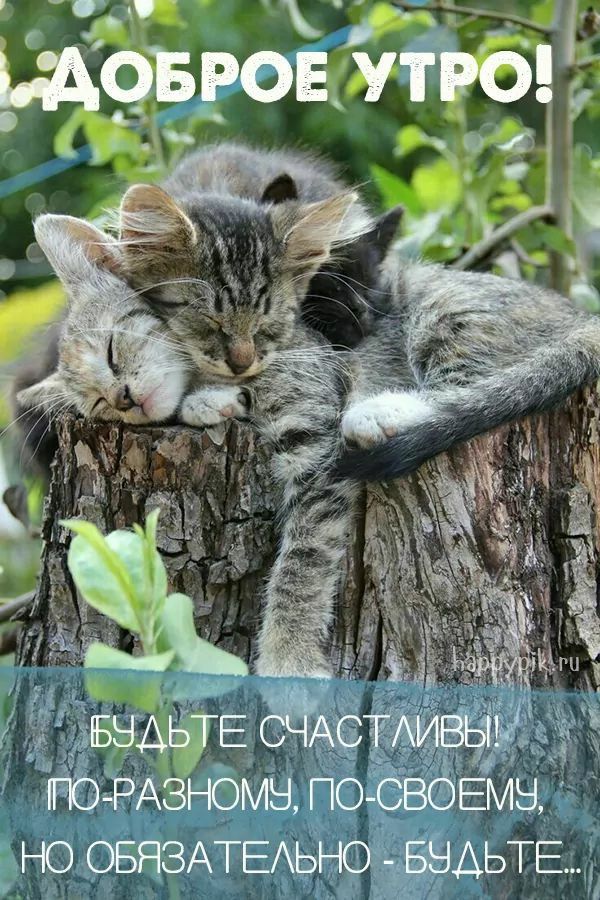 НО ОБЯЗАТЕАЬЮЁЁЭАЬТЕЧ