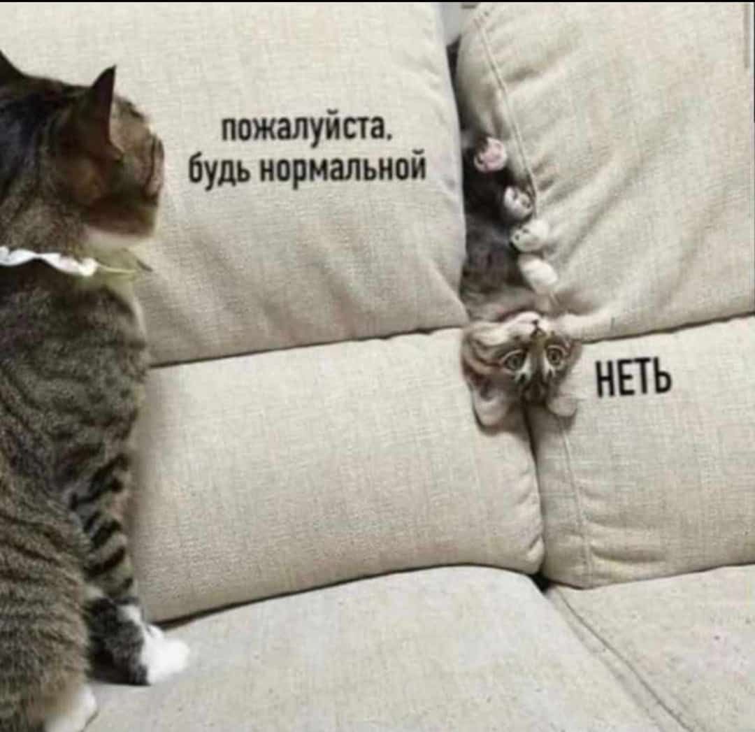 пажалуйста Будь нормальной _й