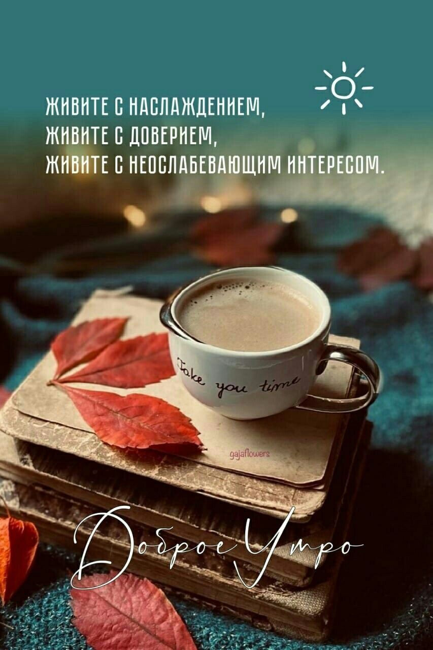 01 ЖНВНТЕ В НдппдждЕННЕМ Ж ТЕ П ШШЕРНЕМ Ж Е П НЕПБЛМБЕ НМ