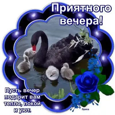 ча й подарит вам ц теплоЗПоОКОЙ иудов