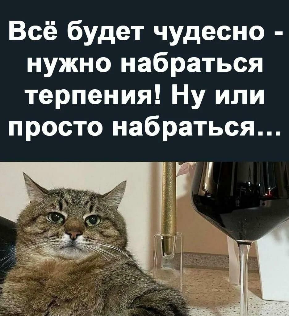 Всё будет чудесно нужно набраться терпения Ну или просто набраться Ё ГТ 72 пц