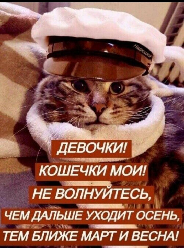 коиіЕчки мои НЕ волнуйтесь ЧЕМ ДАЛЬШЕ УХОДИТ ОСЕНЬ ТЕМ БЛЮКЕ МАРТ И ВЕСНА