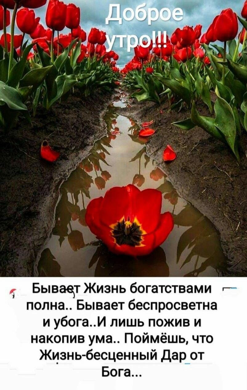 Бывает Жизнь богатствами г полна Бывает беспросветна и убогаИ лишь пожив и накопив ума Поймёшь что Жизньбесценный Дар от Бога