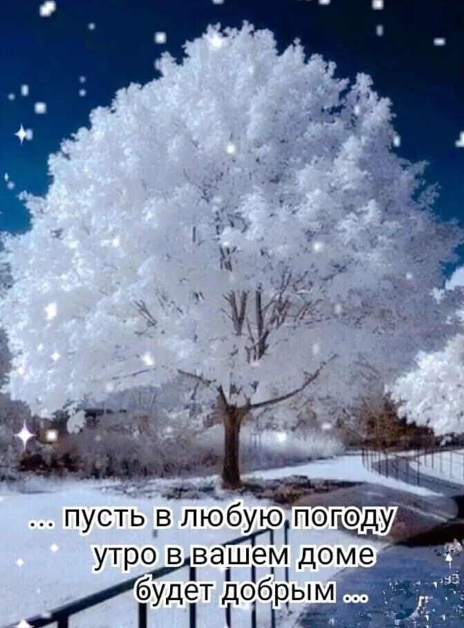 утр3вашегл доме Иуды добрым