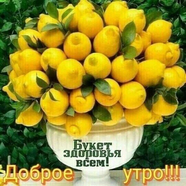 у г 1 74 _