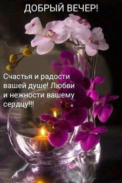 ДОБРЫЙ ВЕЧЕР Счастьяирадоёй у вашей душ Любвй и не и вашему се