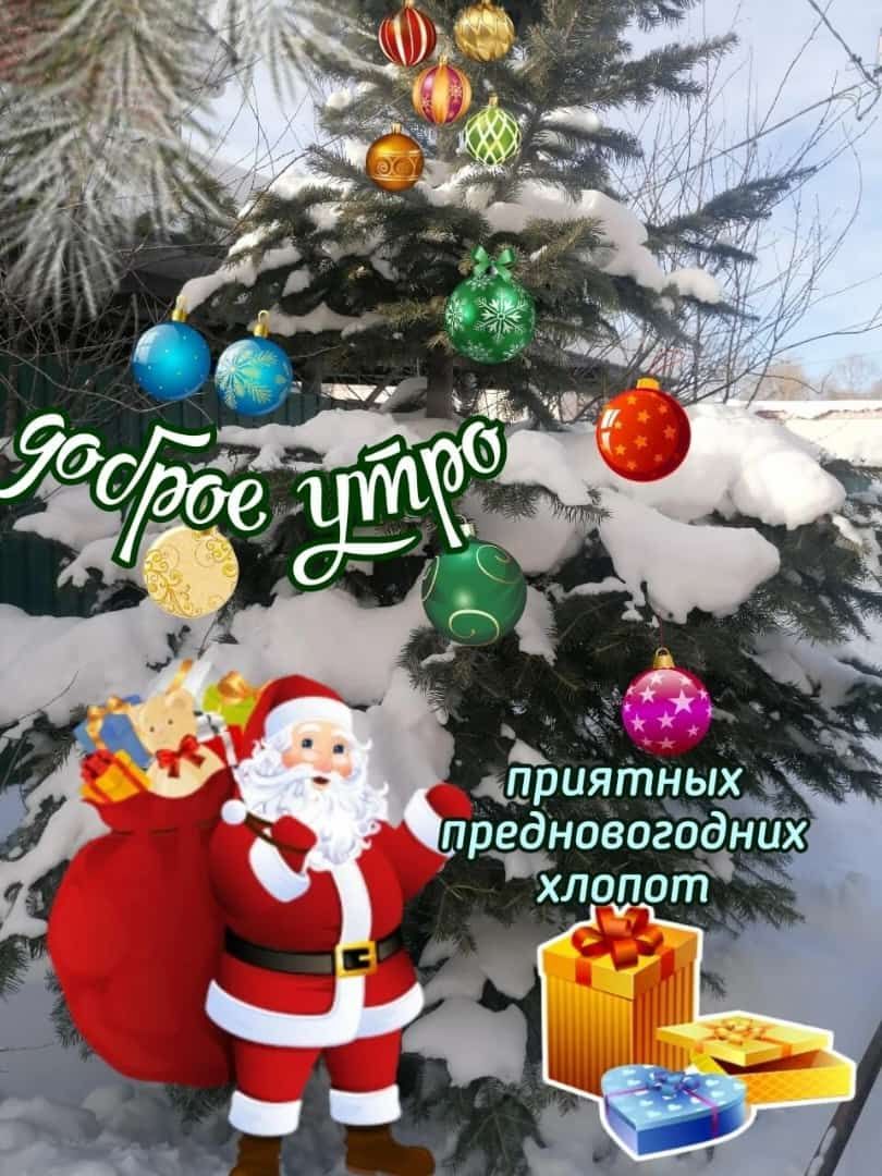дириятных н предновогаёних хлопот