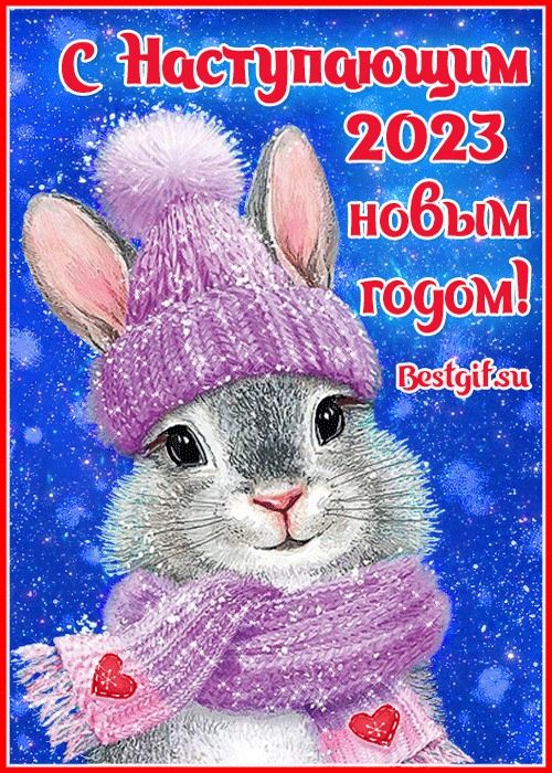 с Нцсітупшощпмч 2023 нобым гоуом Безіфізц