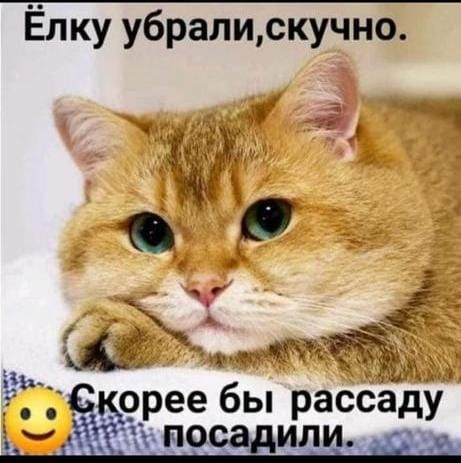 Ёпку убралискучно