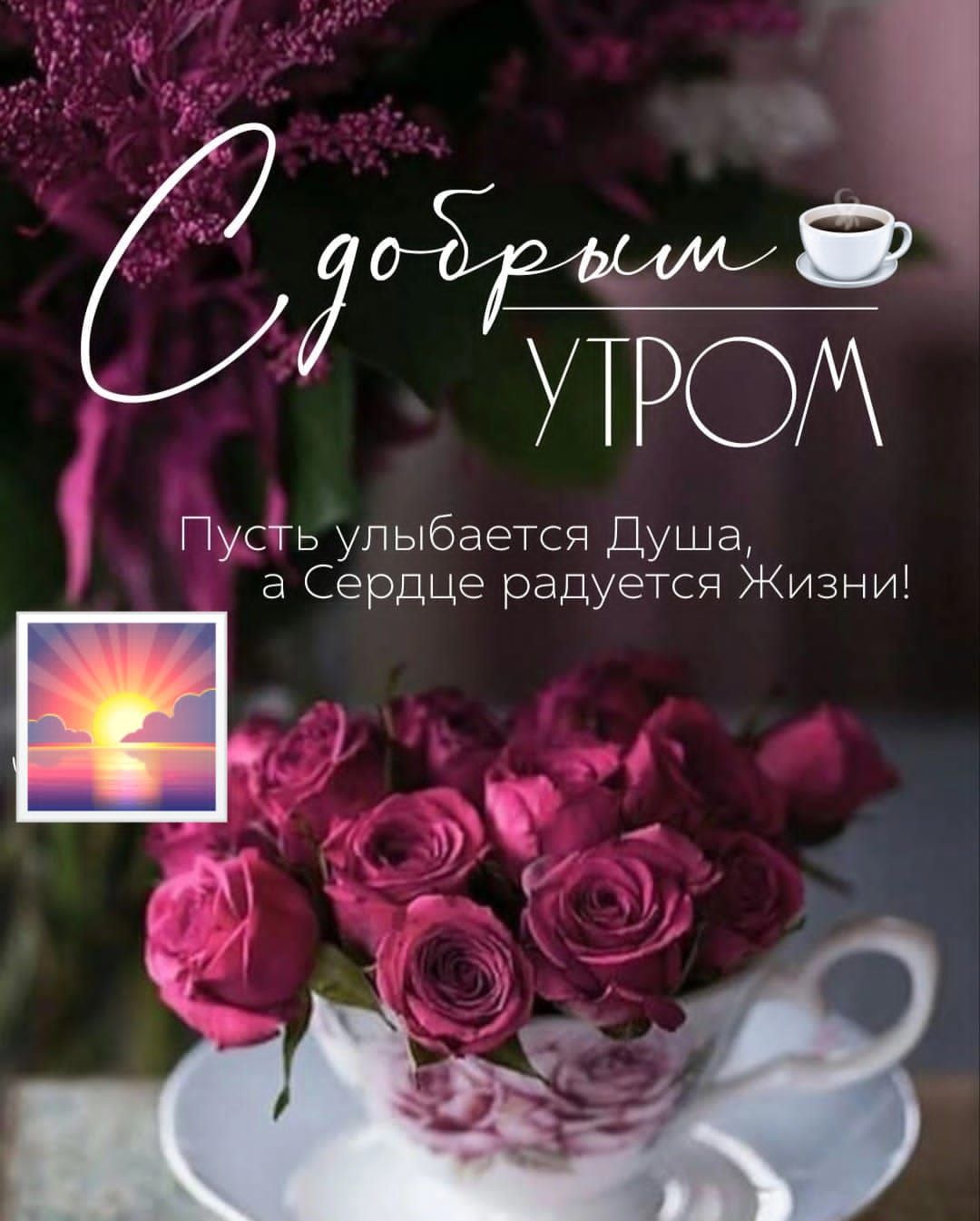 6 УТРО Пудгь улыбается Душа 3 Сердце радуется Жизни