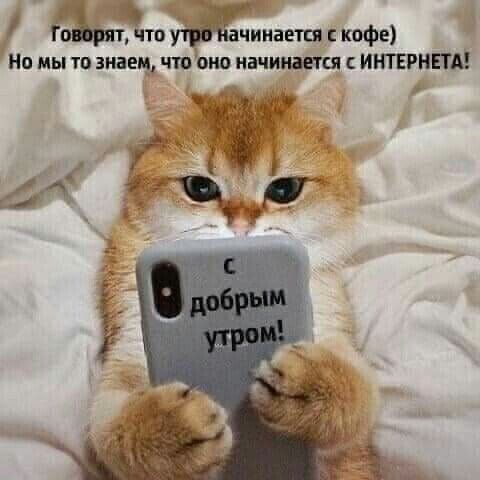 что чииается кофе Но мы то знач что аио иачиншся ИНТЕРНЕТА г А тж