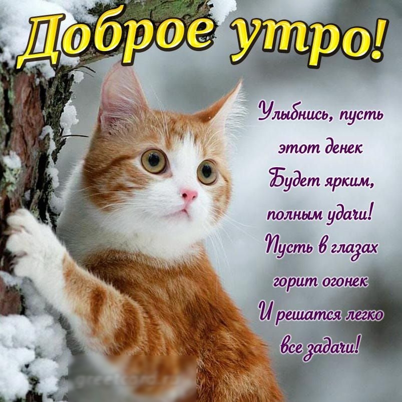 Удмуртии пусть этот денек у3ет ярким водным удачи усть в глаіах