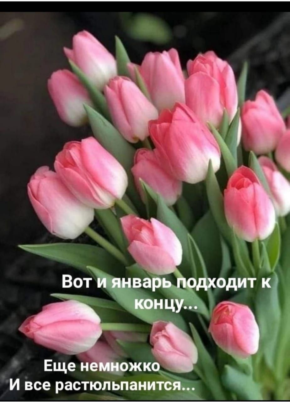 одит И все Р_ЗСТЮЛЬП8НИТВМ