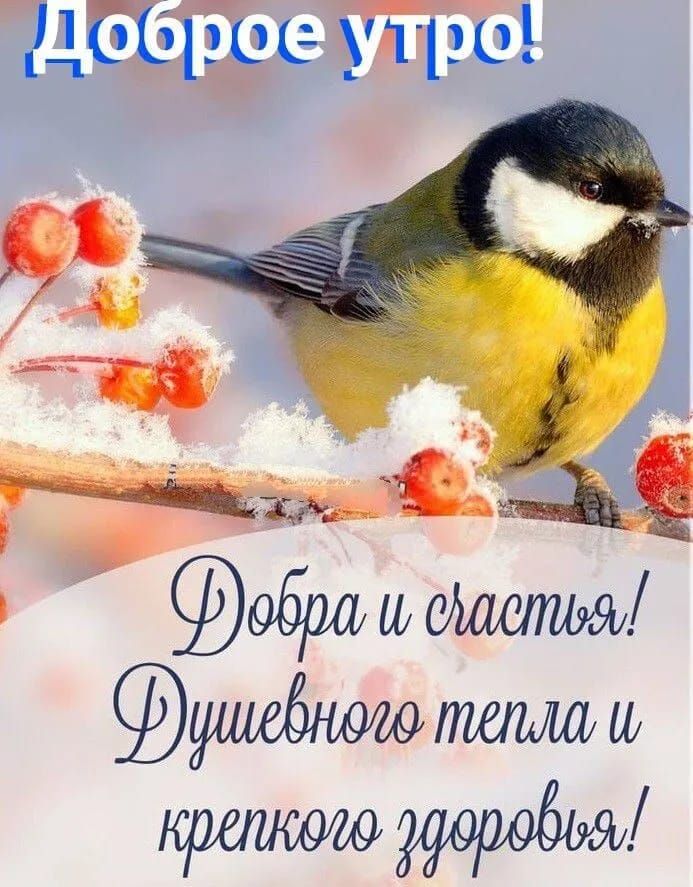 ДбБіэЁое