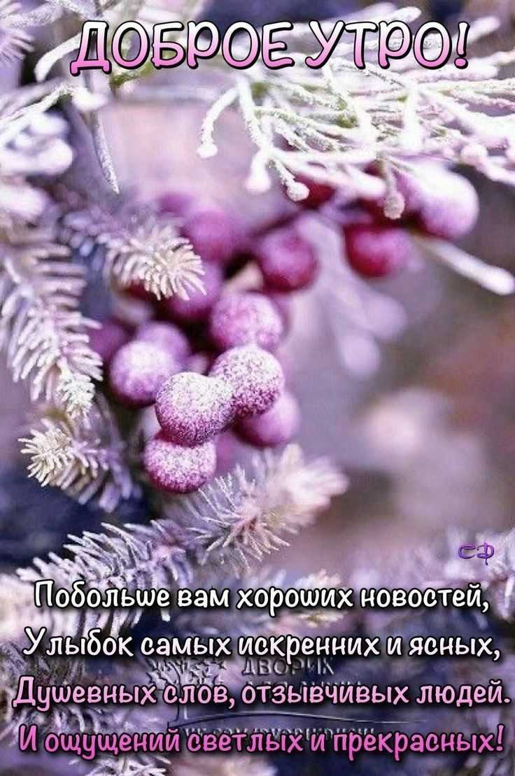 535 Хльпбгок СЗМЫХ ИОКРЗННИХ И ЯЕНЫХ в іх Душевныхёлов ОТЗЫВЧЙВЫХ ЛЮДЕЙ