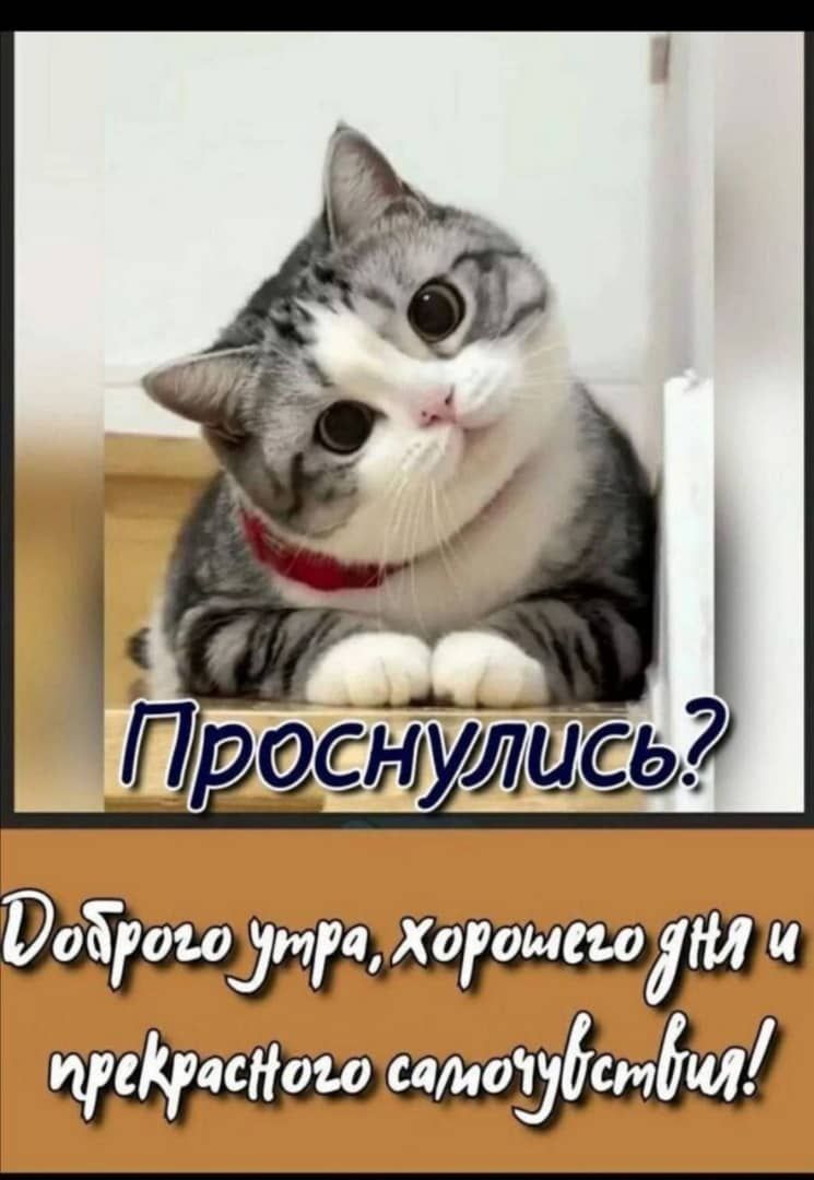 0374 Хороштііи чемумия