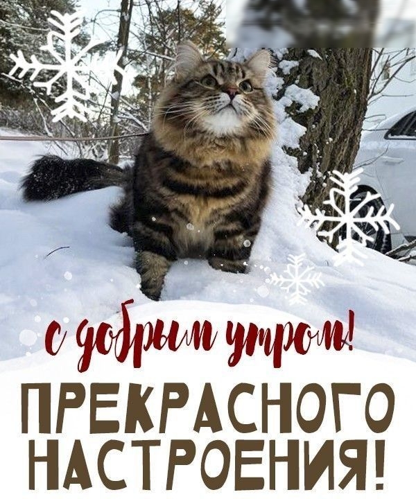 ПРЕКРАСНОГО НАСТРОЕНИЯ
