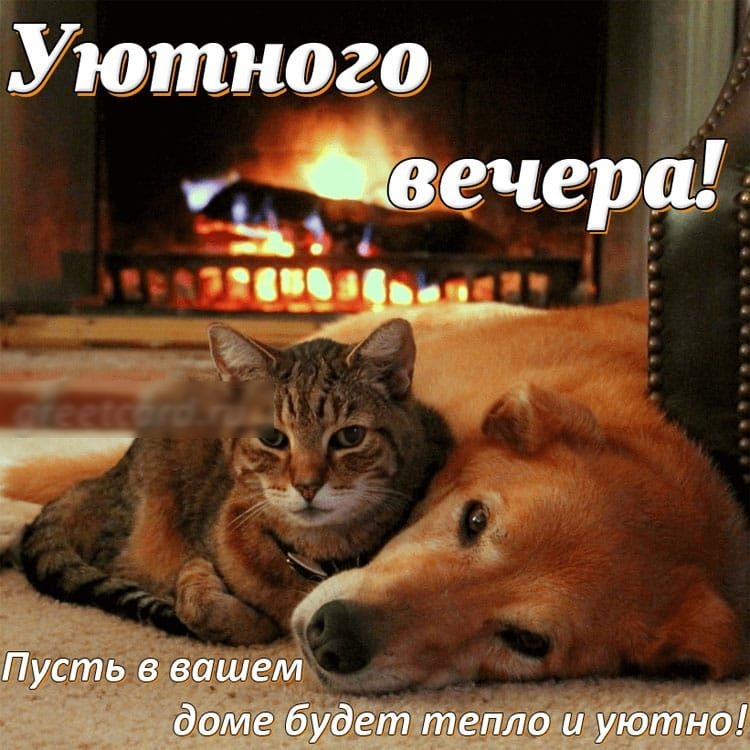 уютного вечера В 4