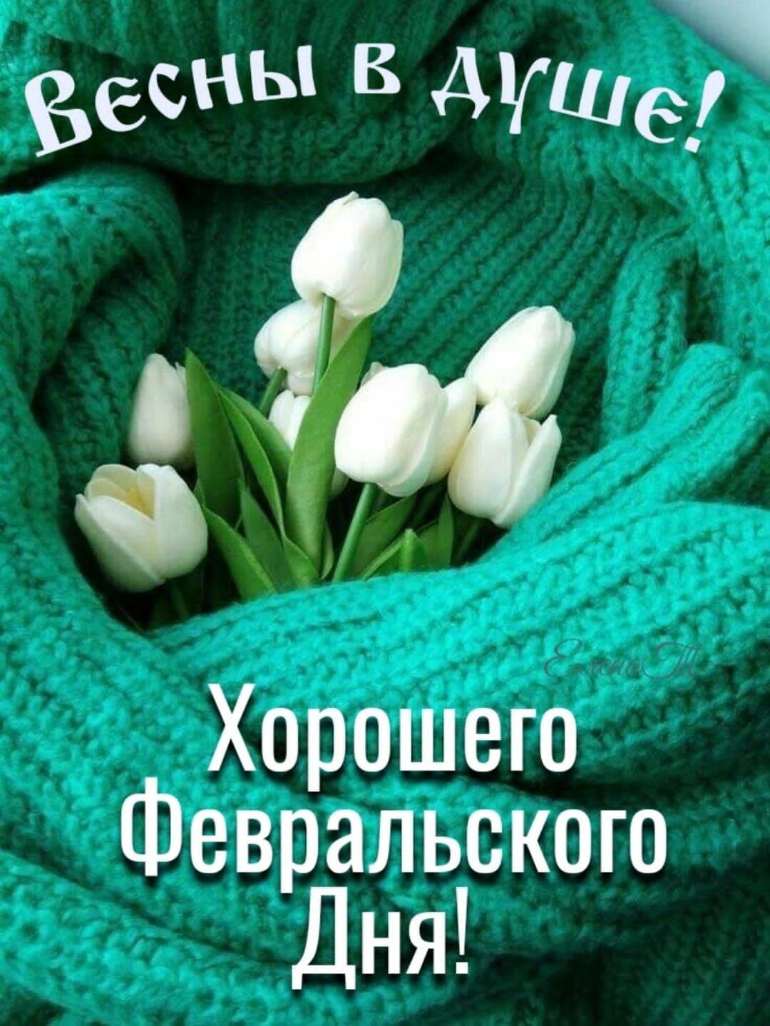 6 Хорошего Февральского Дня