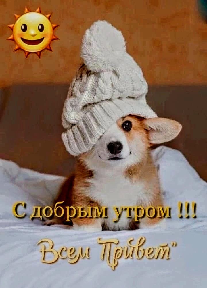 бс ци Тдйбщй