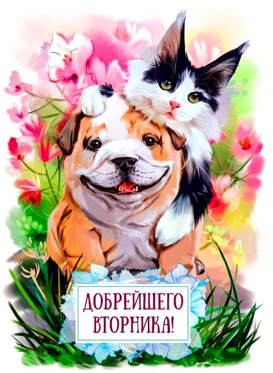 ВТОРНИКА