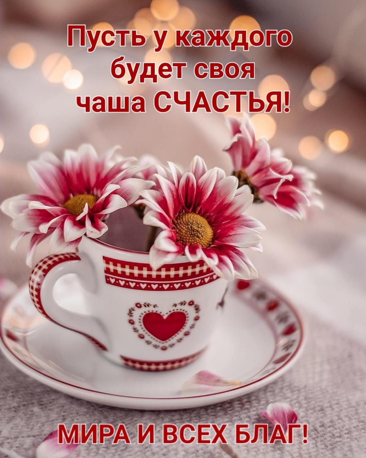 _пустЧу будет своя ИВСЕХБЛГ _