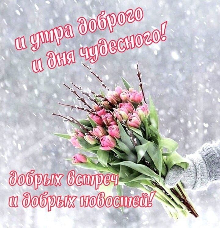 Мрак