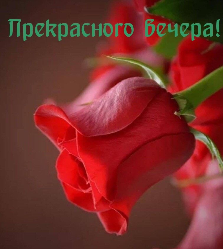 Прекрасного е ра
