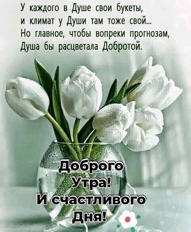 У каждого в Душе свои букеты и климат у Души там тоже свой Но главное чтобы вопреки прогнозам Душа бы расцветала Добротой