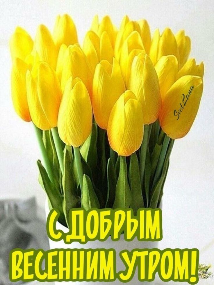 ЛОЁЩМ _ВЕСЕННИМУТГОШ