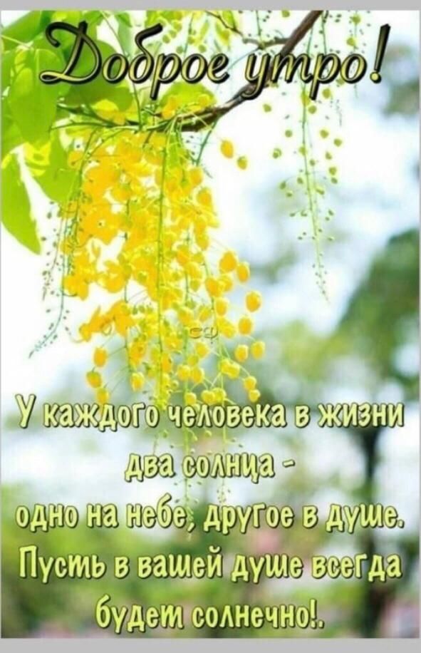 Пусть в вашейй дущевсетда Га 6у детсоднеч_н9_ 4