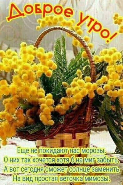 1 1 Еще неТпокидают_ Н_ас морозы О них так хочется хотя на миг забь ь __А ВОТ СЕГОДНЯ СМОЖ ПН изменить _ _ На ВИД ПРОСТЗЯ ветрч МИМОЗЫ
