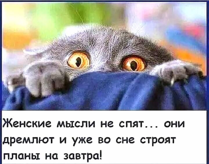 Женские МЫСЛИ не СПЯТ ОНИ дремлют и уже во сне строят планы на завтра