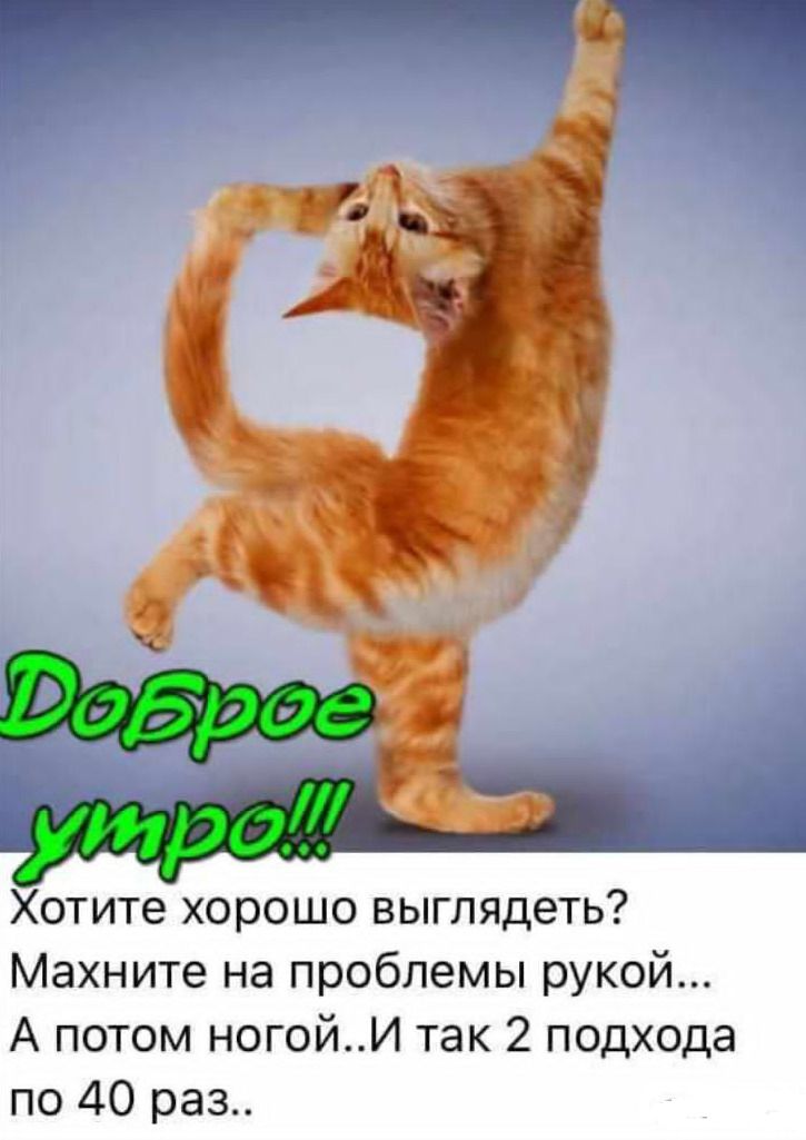 Хотите хорошо выглядеть Махните на проблемы рукой А потом ногойИ так 2 подхода по 40 раз