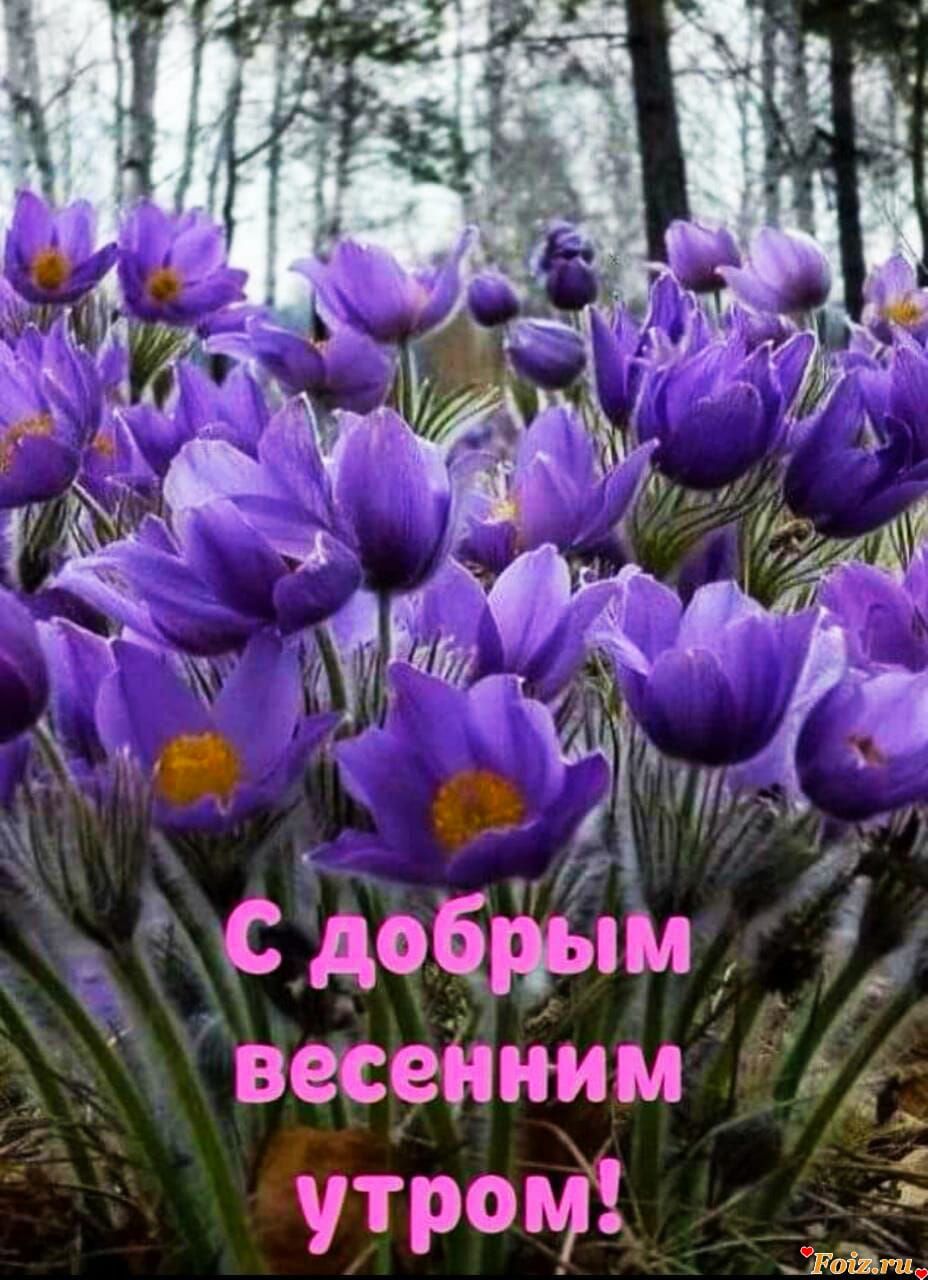 _9 введебётімм утрат д36 Д
