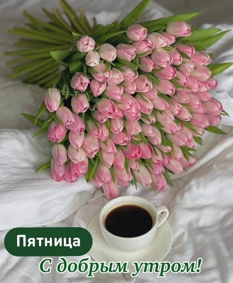 С добРьщутРом