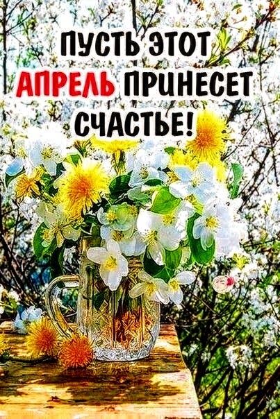 Ё п Ёцустёётцу принвсвт