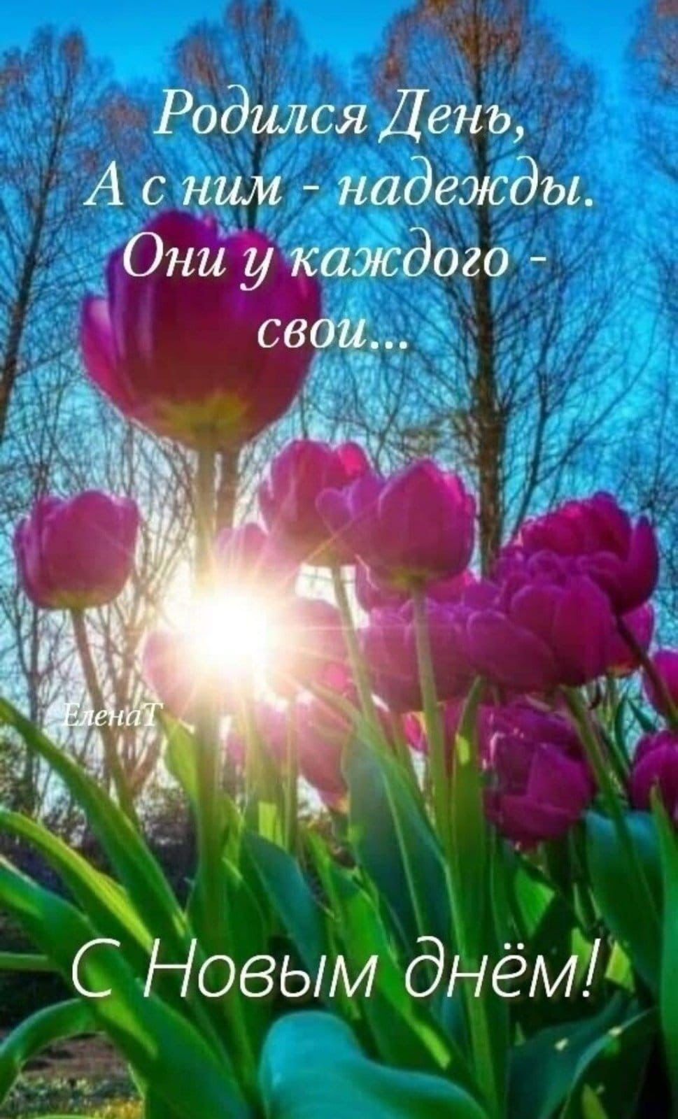 и Родился День А с ним надежды
