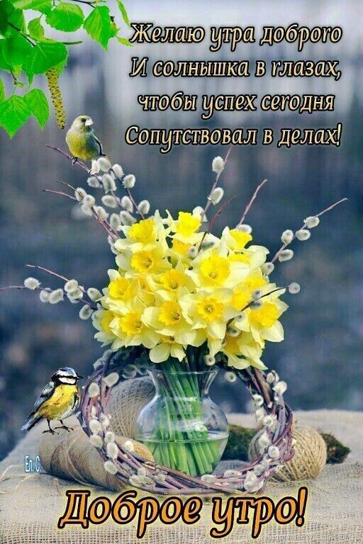 Желаю Иви вшита