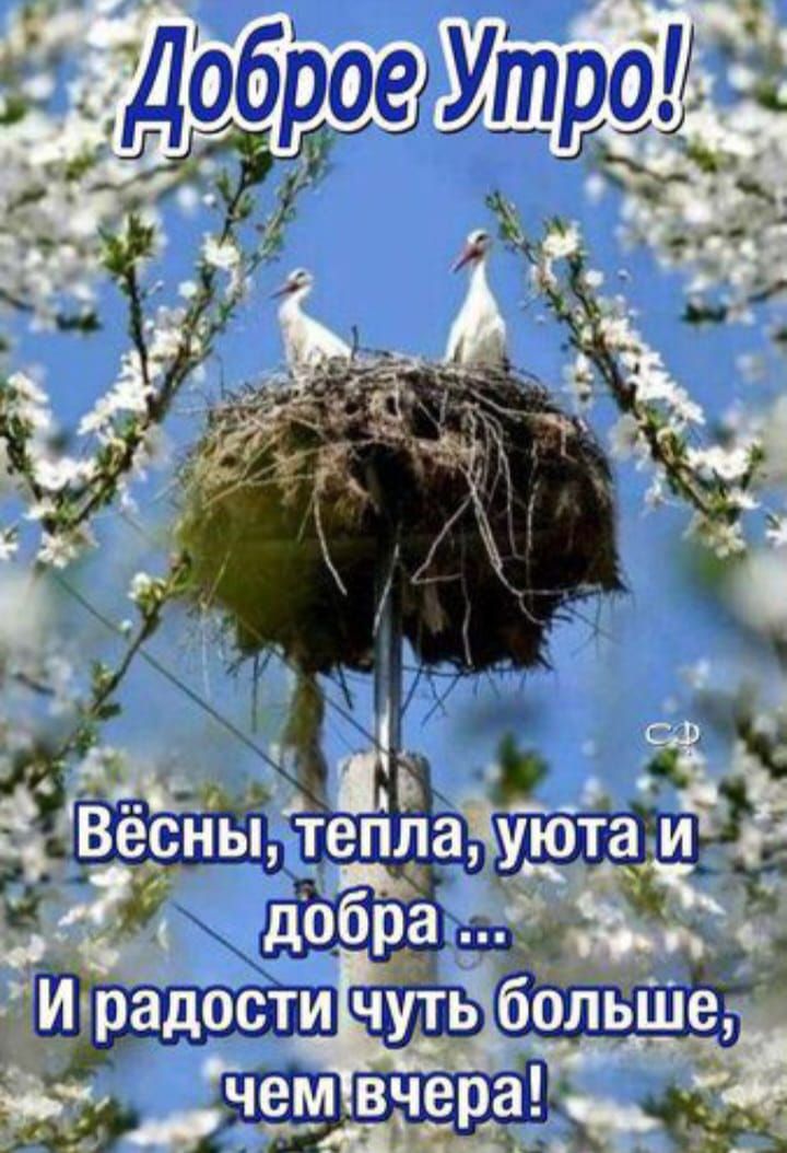 до_бра Шрадости чтз