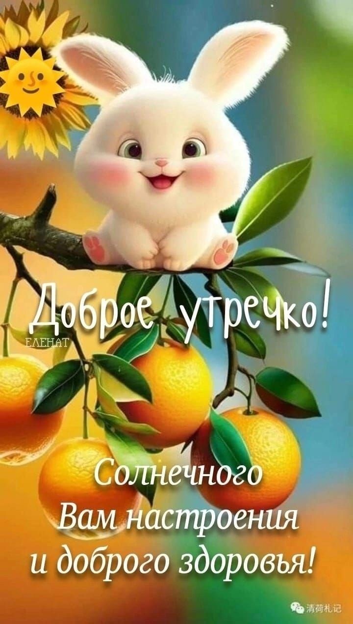 смці и доброго здоровья Цянь