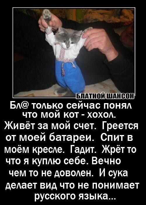 БА только сейчас поняд что мой кот хоход Живёт за мой счет Греется от моей батареи Спит в моём кресле Гадит Жрёт то что я купдю себе Вечно чем то не доволен И сука деАает вид что не понимает РУССКОГО языка