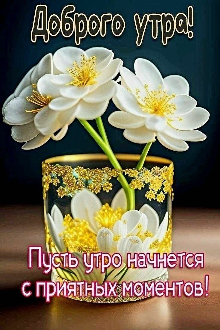 Цебрего утр