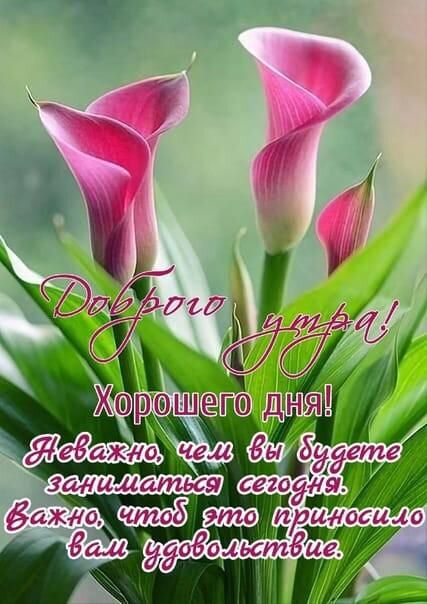 орхоМлето лучя а іеаэшгаЪел 8255 3_11латься сд а