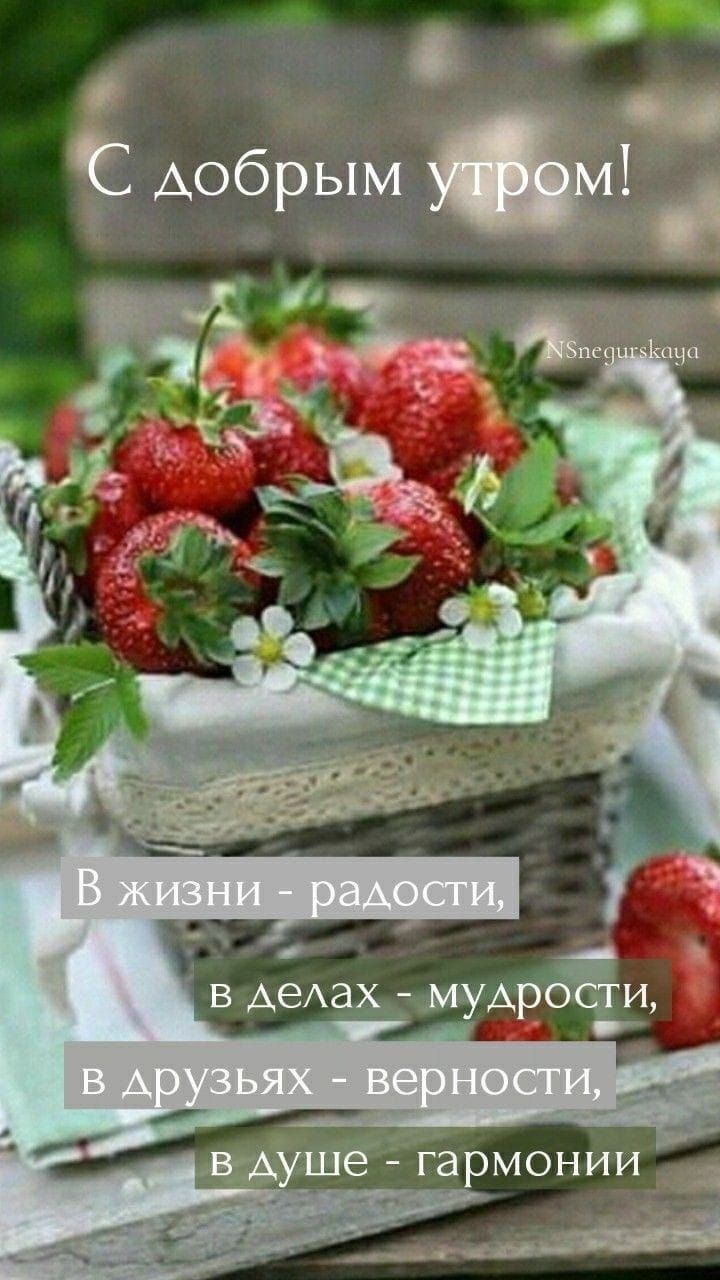 С добрым 1